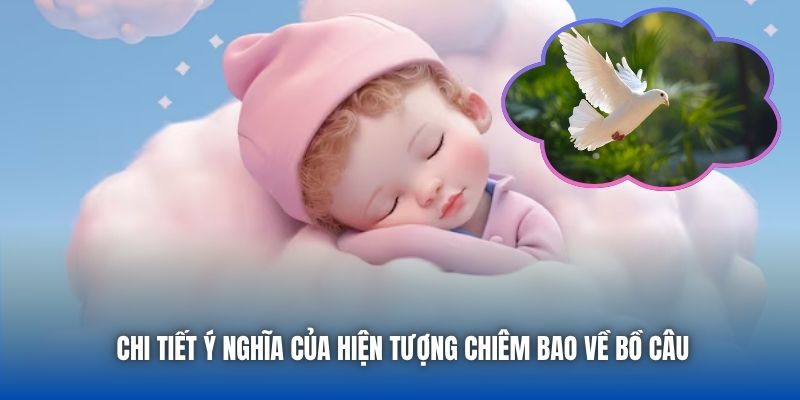 Chi tiết ý nghĩa của hiện tượng chiêm bao về bồ câu