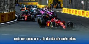 Cược Top 3 Đua Xe F1 | Lối Tắt Dẫn Đến Chiến Thắng
